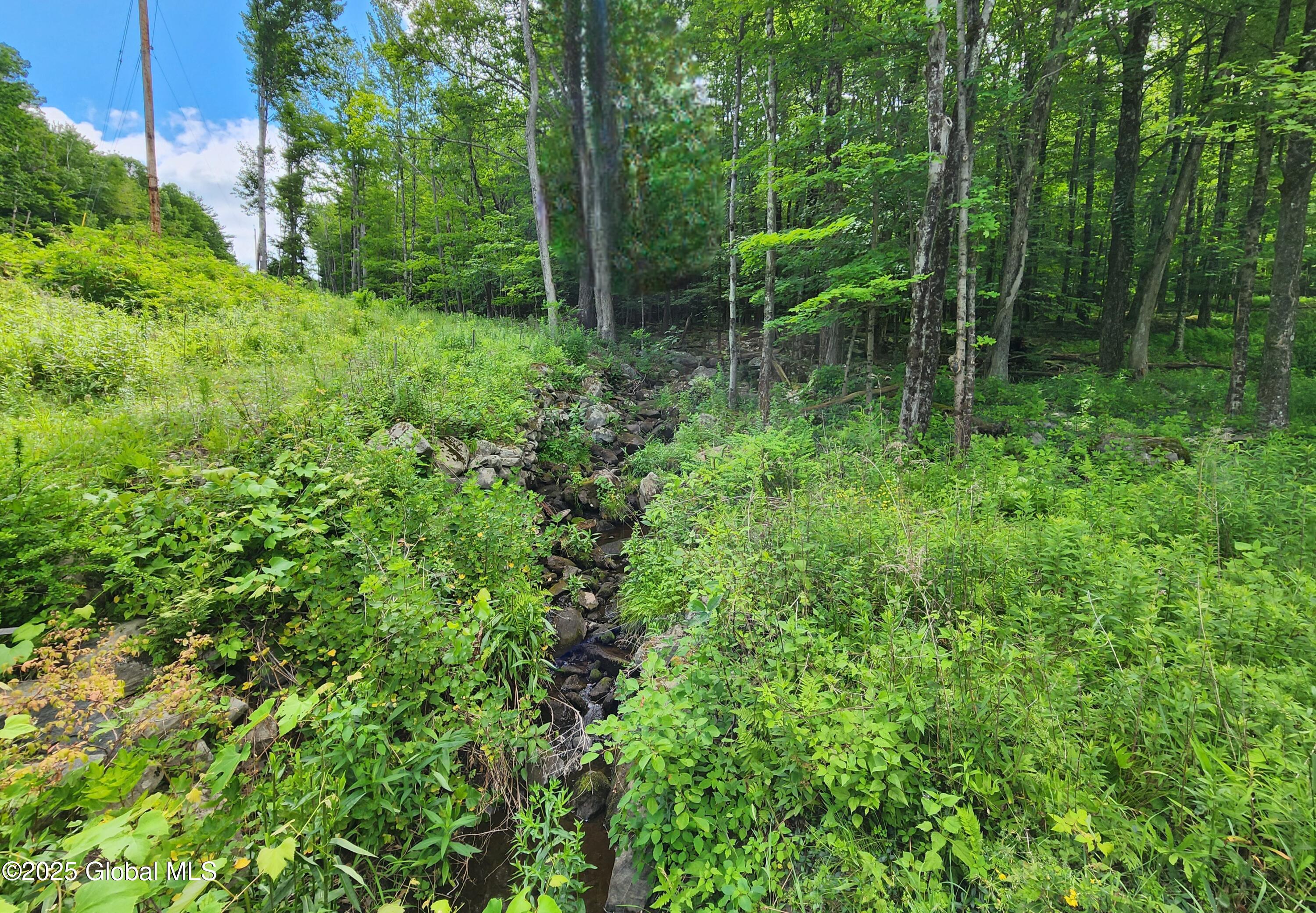 140 Roaser Road Sand Lake NY 12153