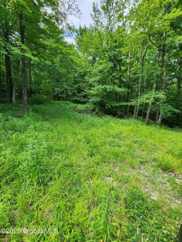 140 Roaser Road Sand Lake NY 12153