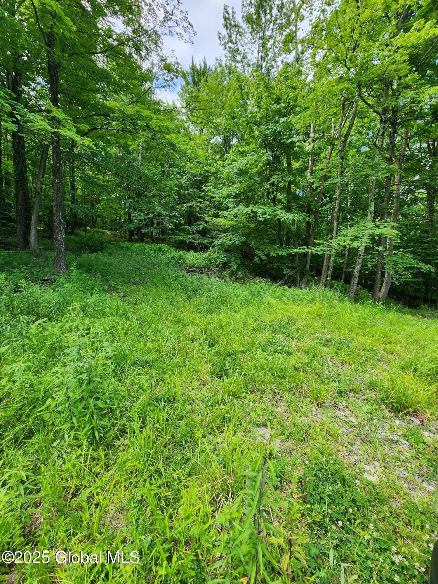 140 Roaser Road Sand Lake NY 12153