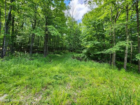 140 Roaser Road Sand Lake NY 12153