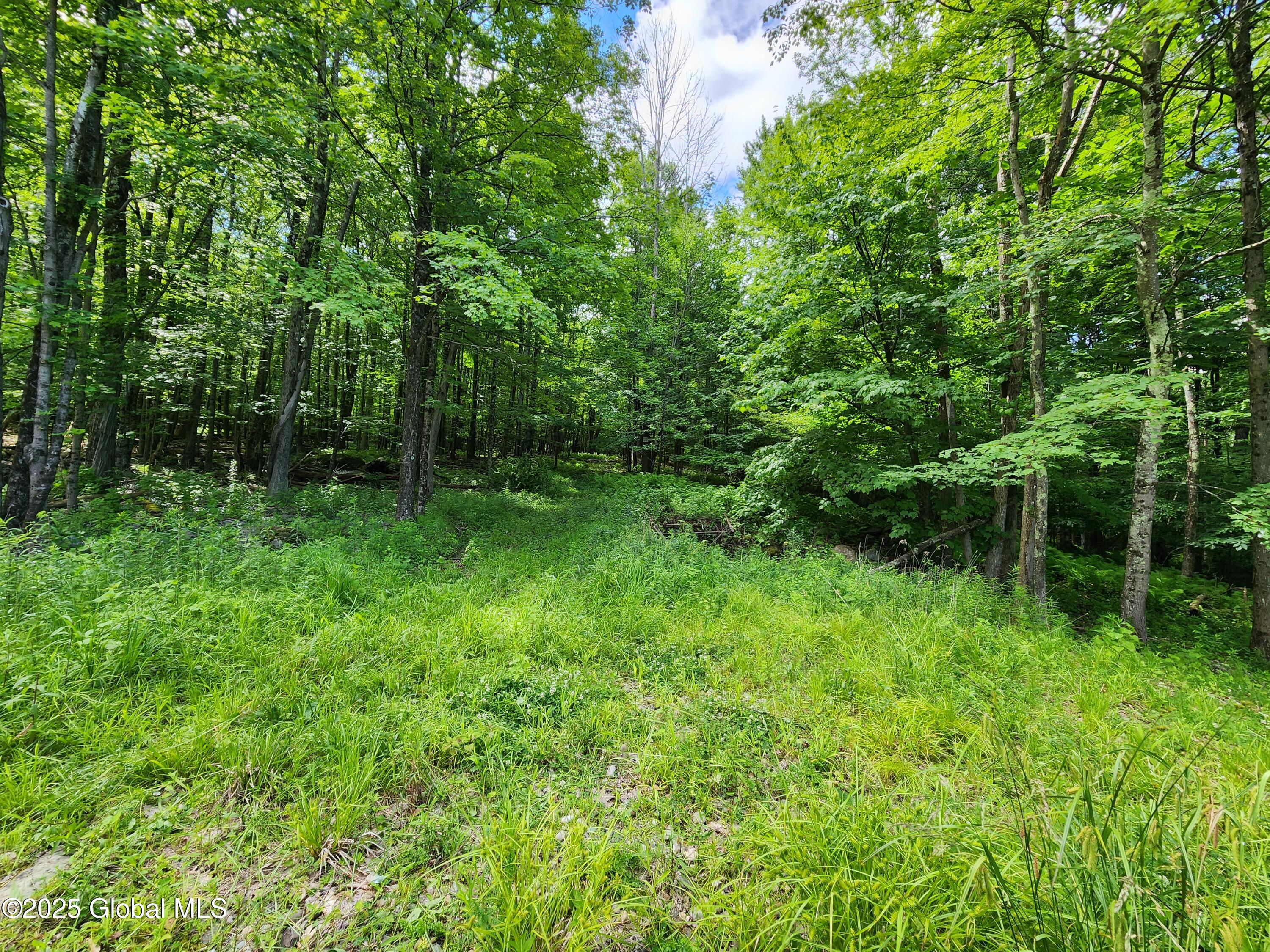 140 Roaser Road Sand Lake NY 12153
