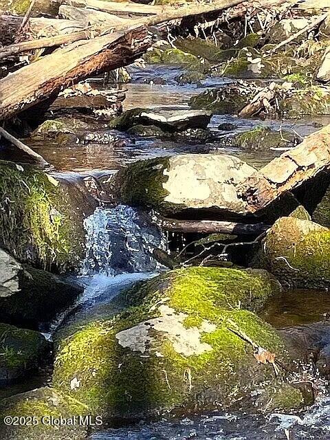 140 Roaser Road Sand Lake NY 12153