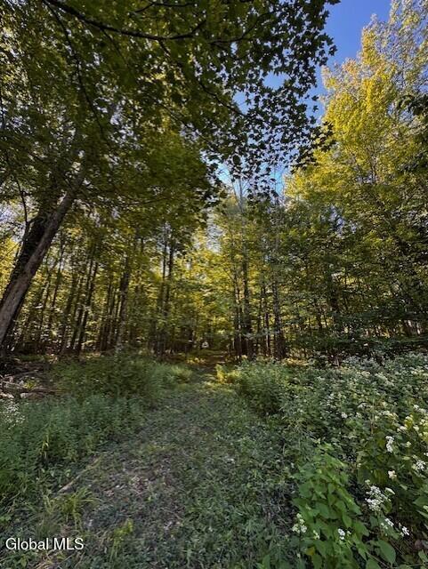 140 Roaser Road Sand Lake NY 12153