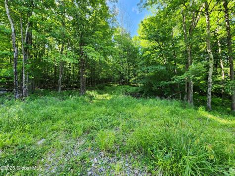 140 Roaser Road Sand Lake NY 12153