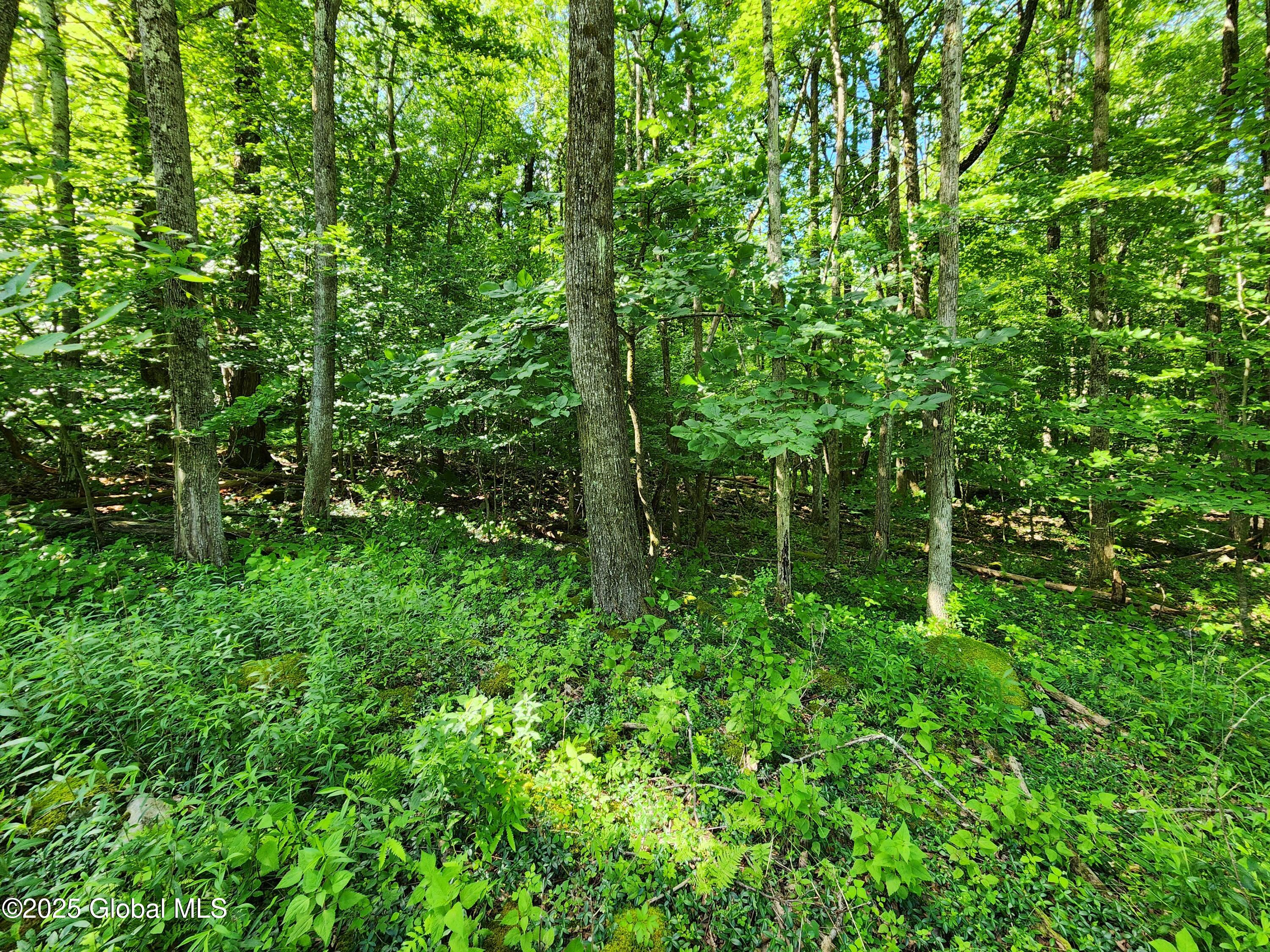 140 Roaser Road Sand Lake NY 12153