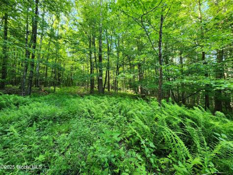 140 Roaser Road Sand Lake NY 12153