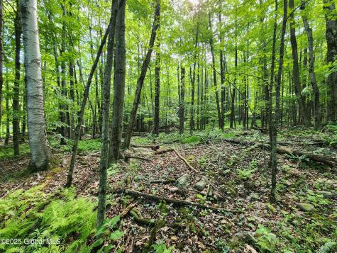 140 Roaser Road Sand Lake NY 12153