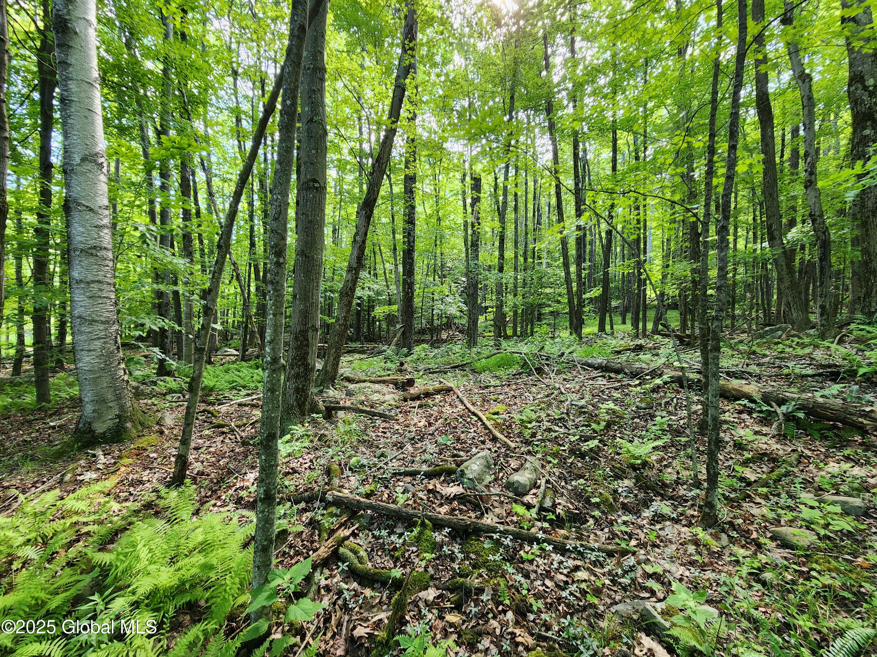 140 Roaser Road Sand Lake NY 12153