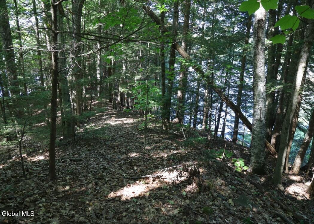36 Fuller Drive Corinth NY 12822