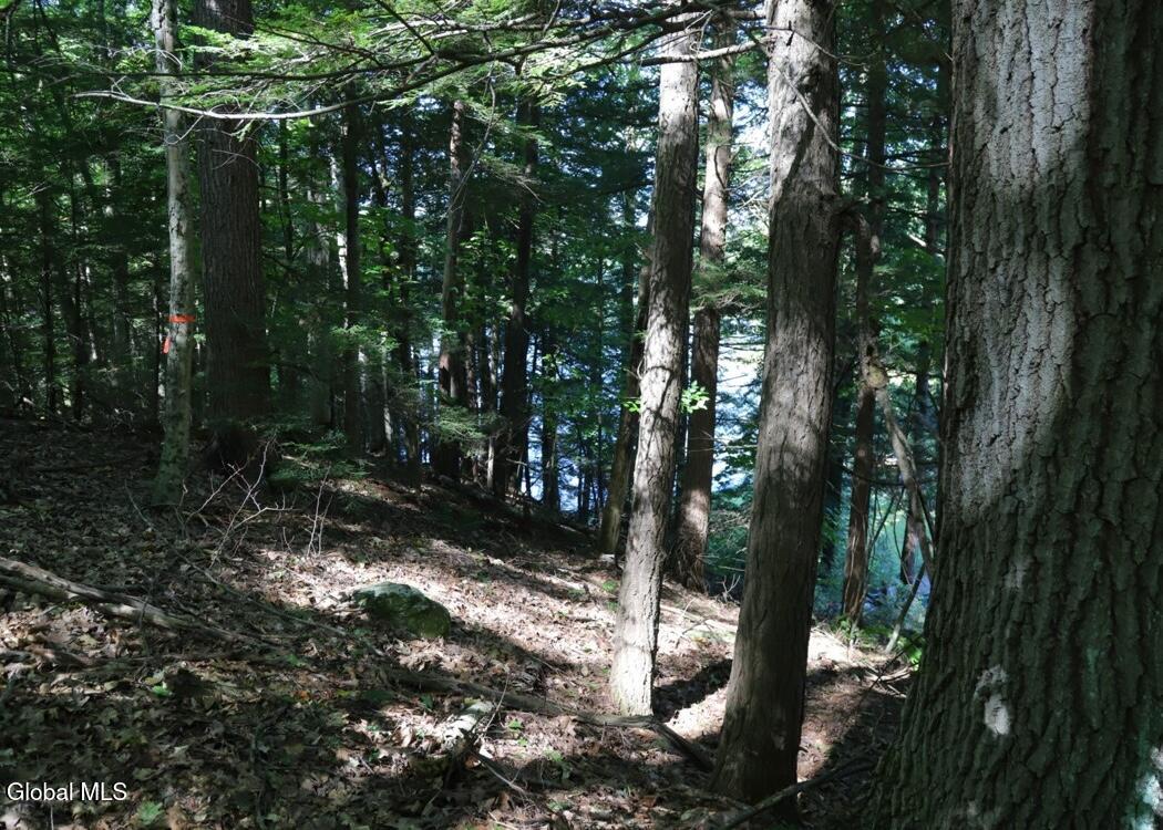 36 Fuller Drive Corinth NY 12822