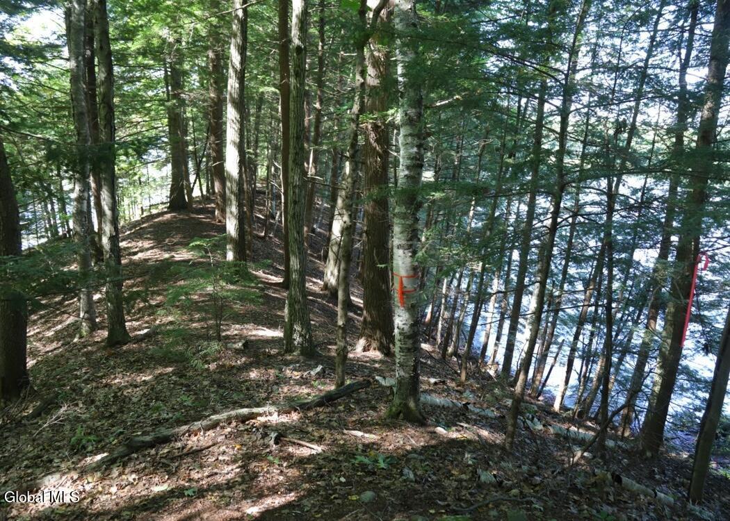 36 Fuller Drive Corinth NY 12822