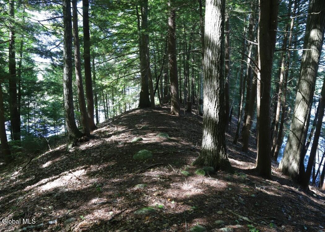 36 Fuller Drive Corinth NY 12822