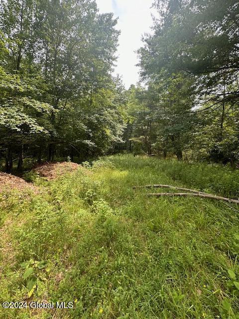 L26.213 Ny 66 S Of Averill Park NY 12018