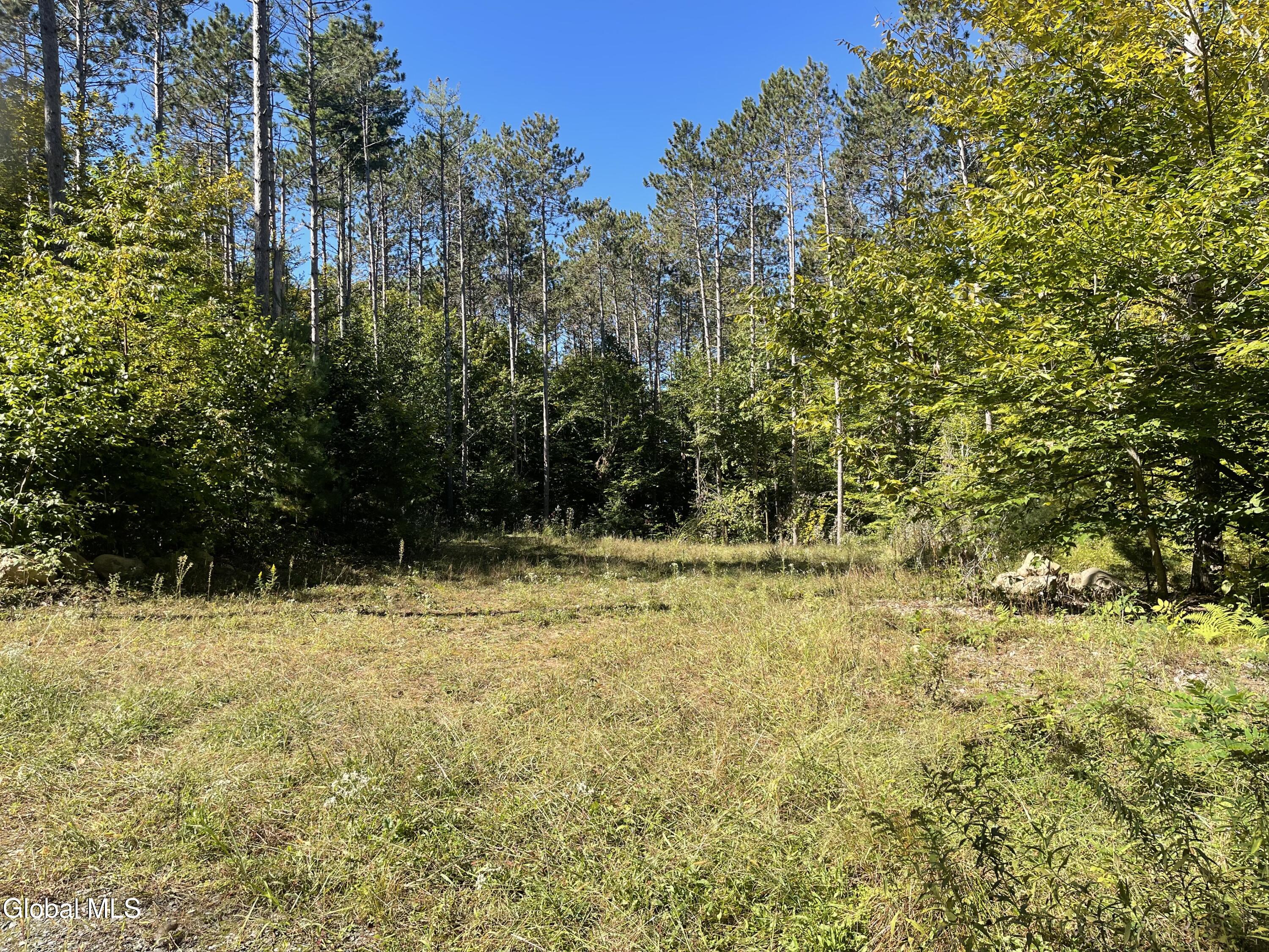 1 Adk Acres Pvt Road Edinburg NY 12134