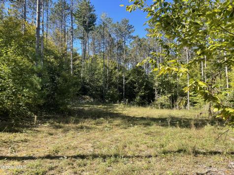1 Adk Acres Pvt Road Edinburg NY 12134