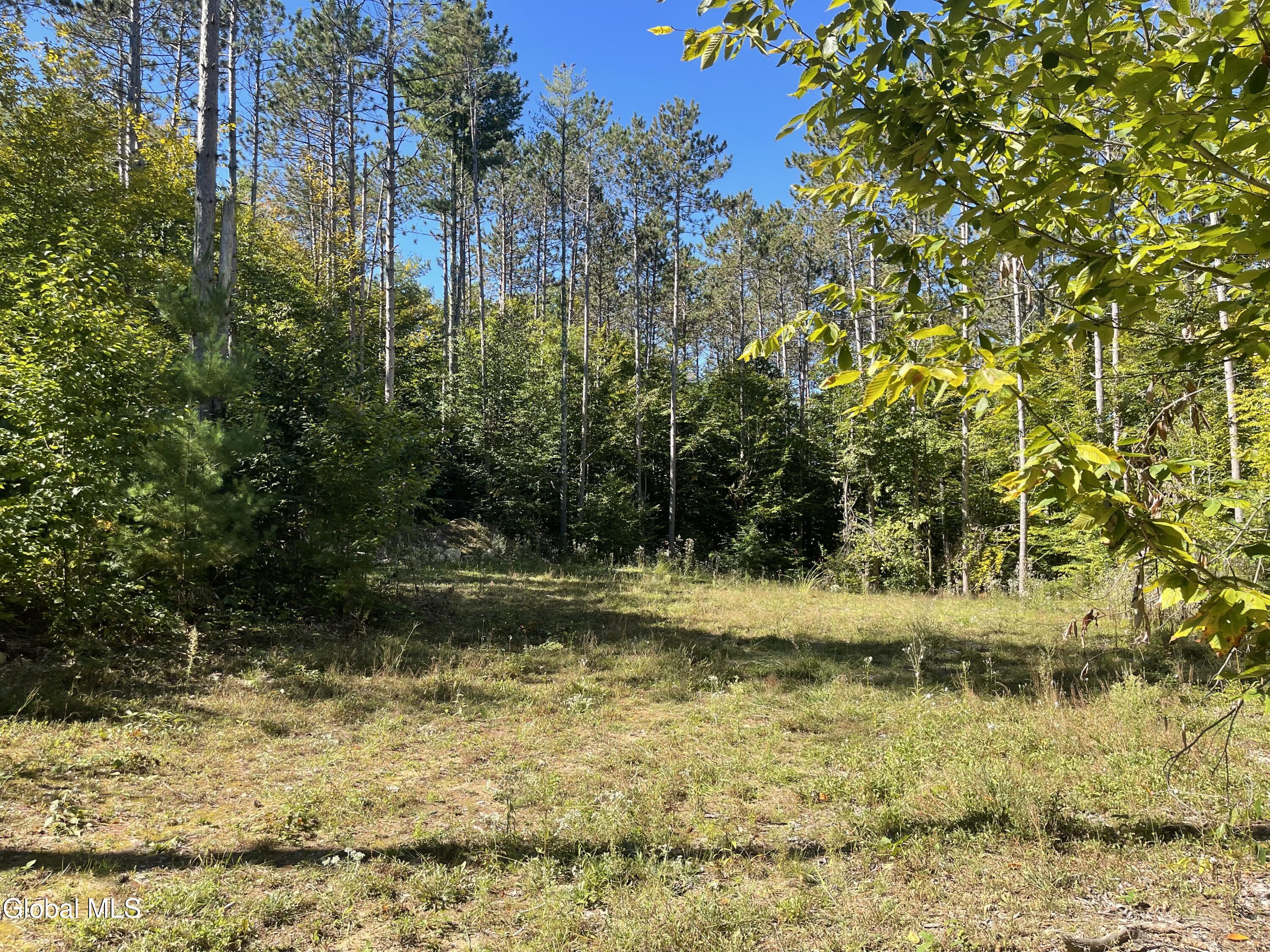1 Adk Acres Pvt Road Edinburg NY 12134