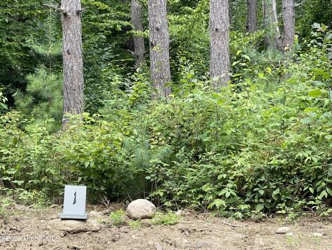 1 Adk Acres Pvt Road Edinburg NY 12134