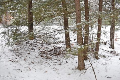 13 Carriage Knolls Road Chestertown NY 12817