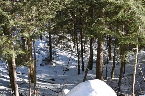 13 Carriage Knolls Road Chestertown NY 12817