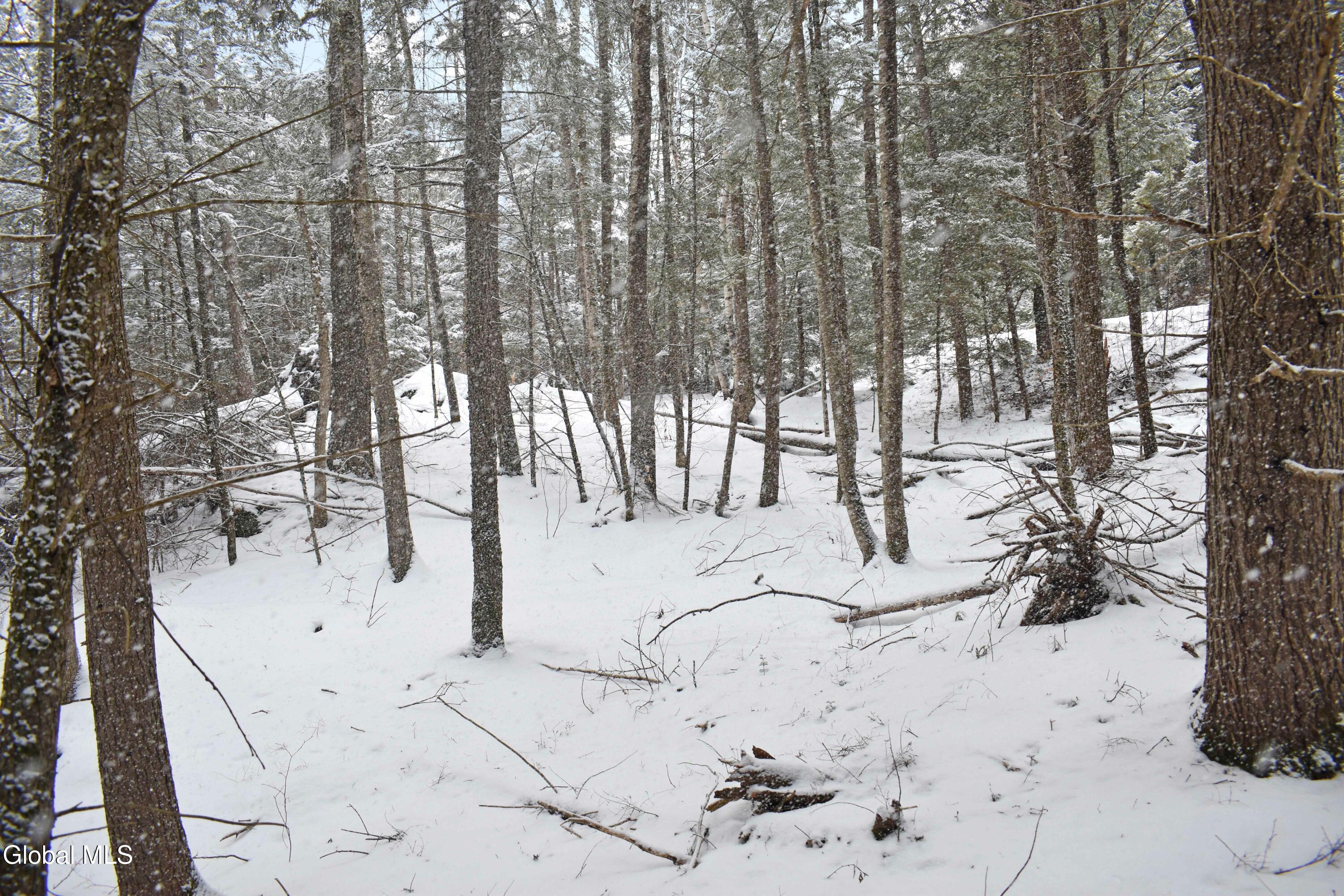 13 Carriage Knolls Road Chestertown NY 12817