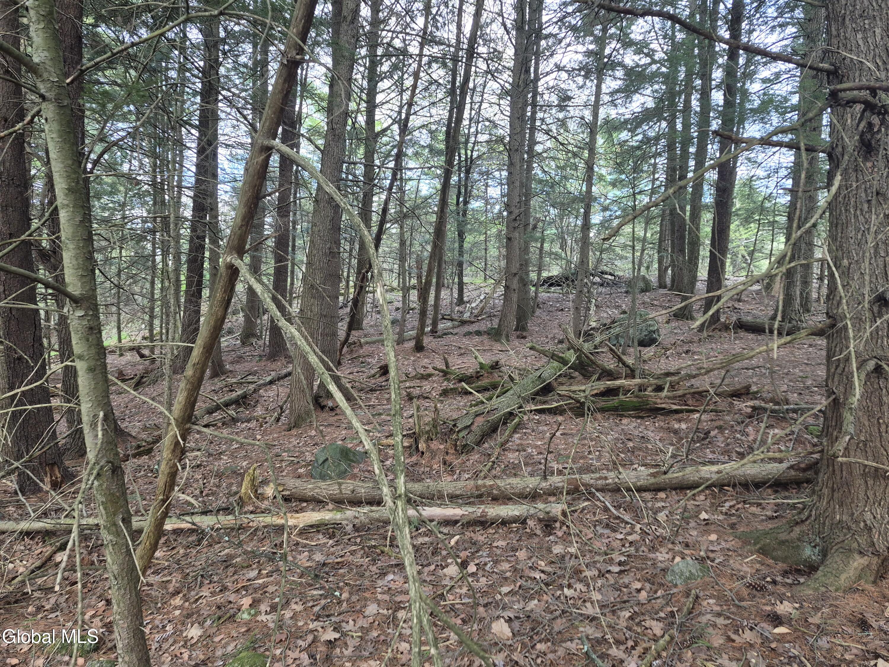 L-2.6 Goodman Road Fort Ann NY 12827