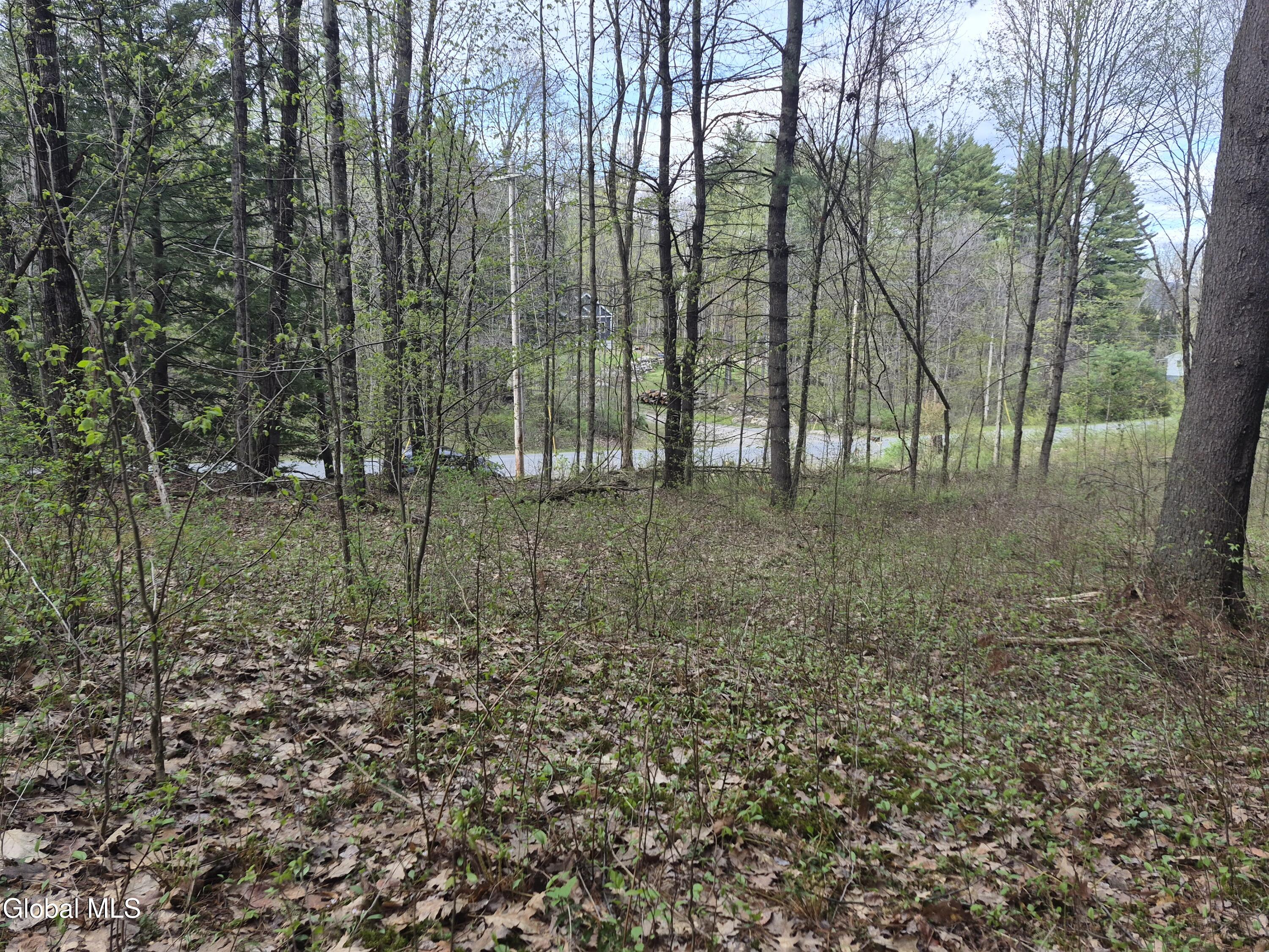 L-2.6 Goodman Road Fort Ann NY 12827