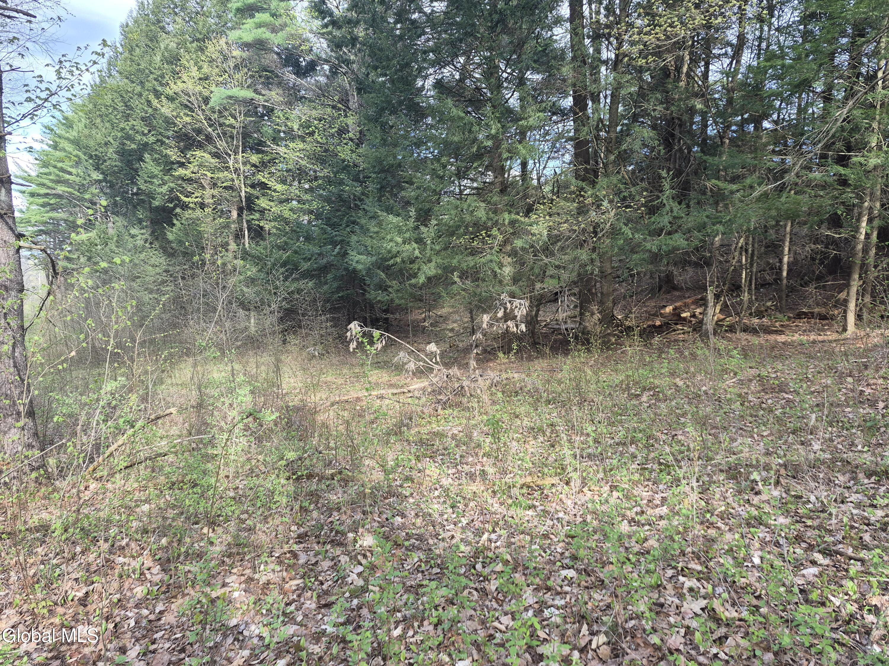L-2.6 Goodman Road Fort Ann NY 12827