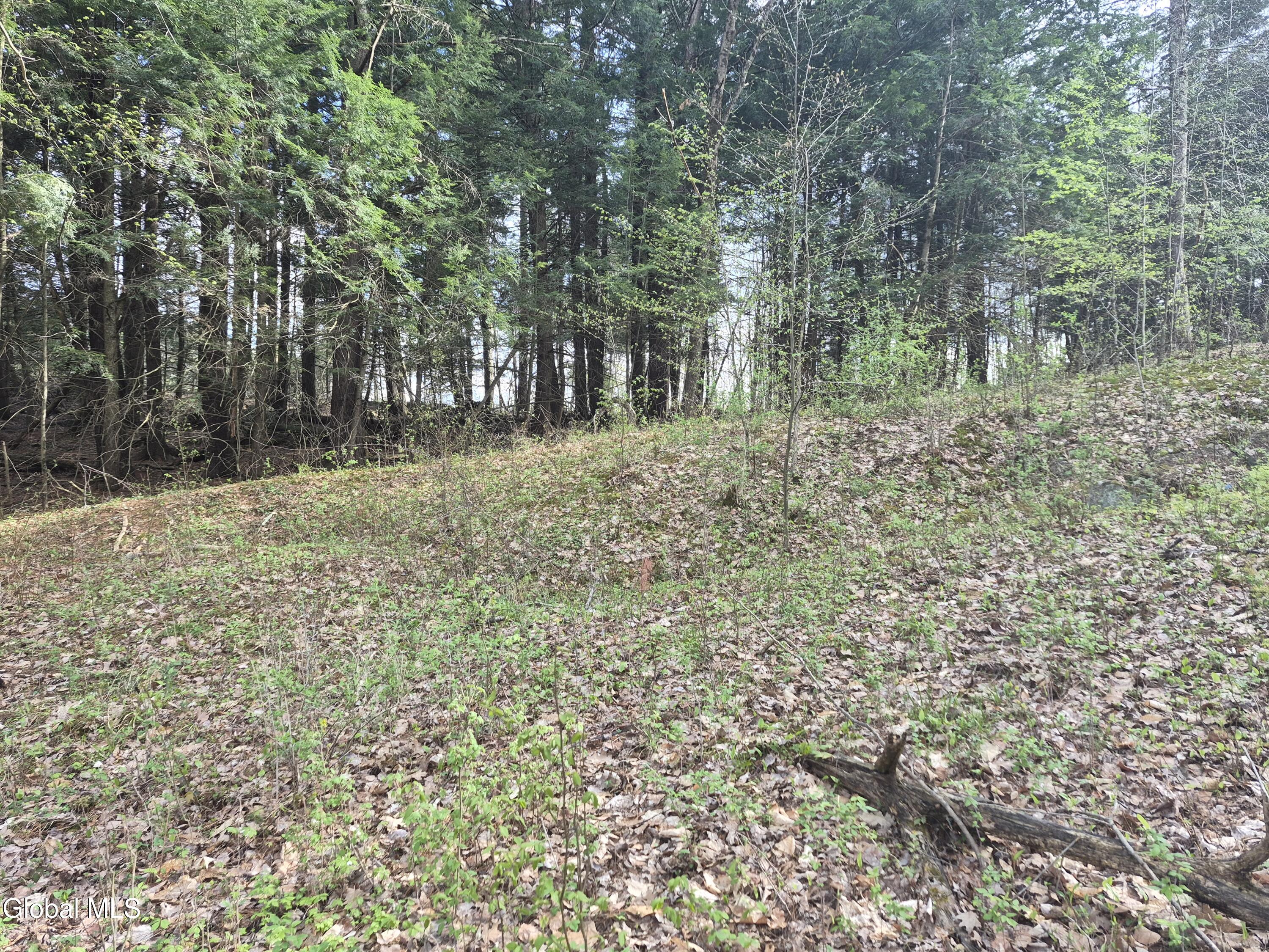 L-2.6 Goodman Road Fort Ann NY 12827