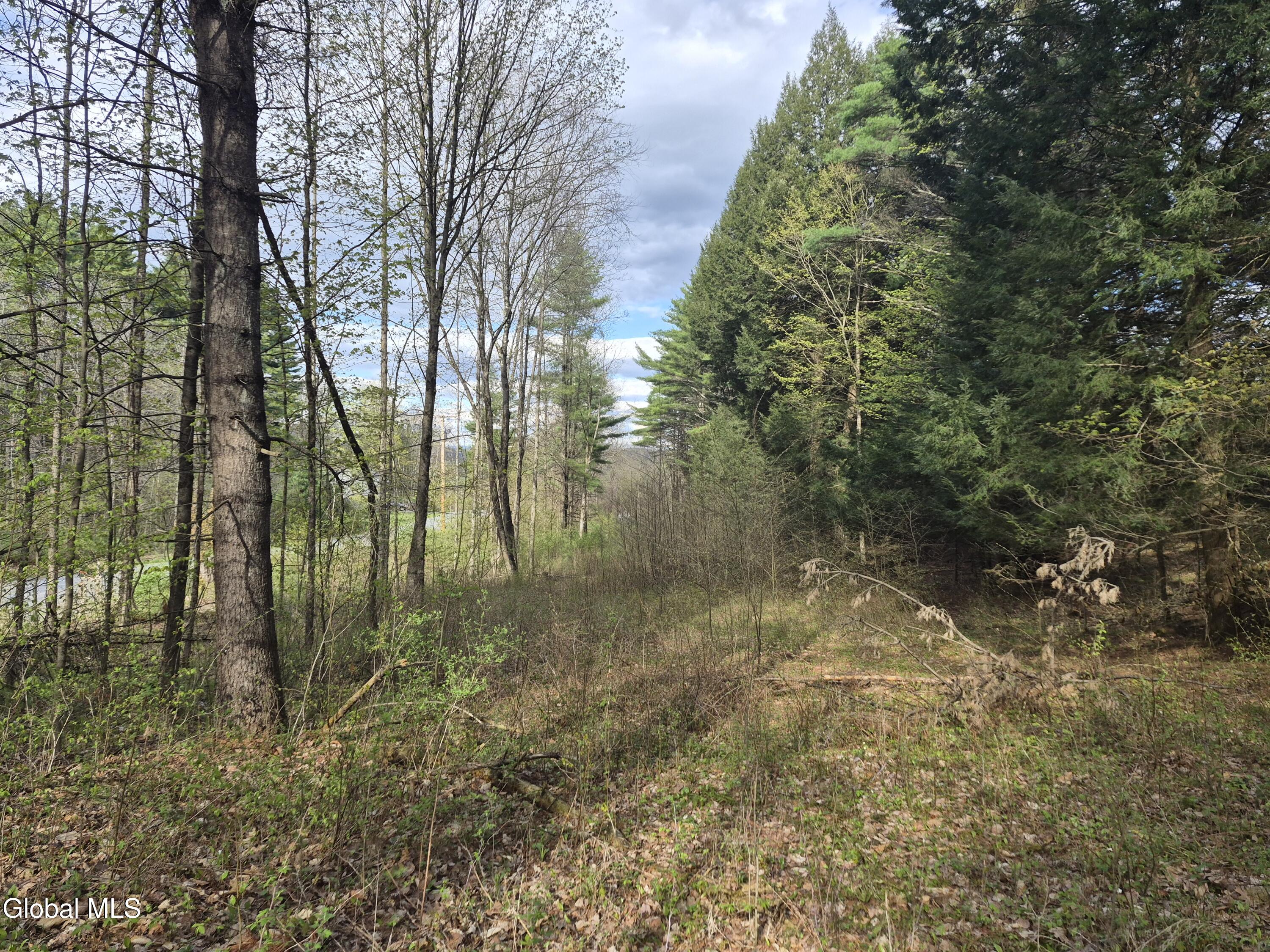 L-2.6 Goodman Road Fort Ann NY 12827