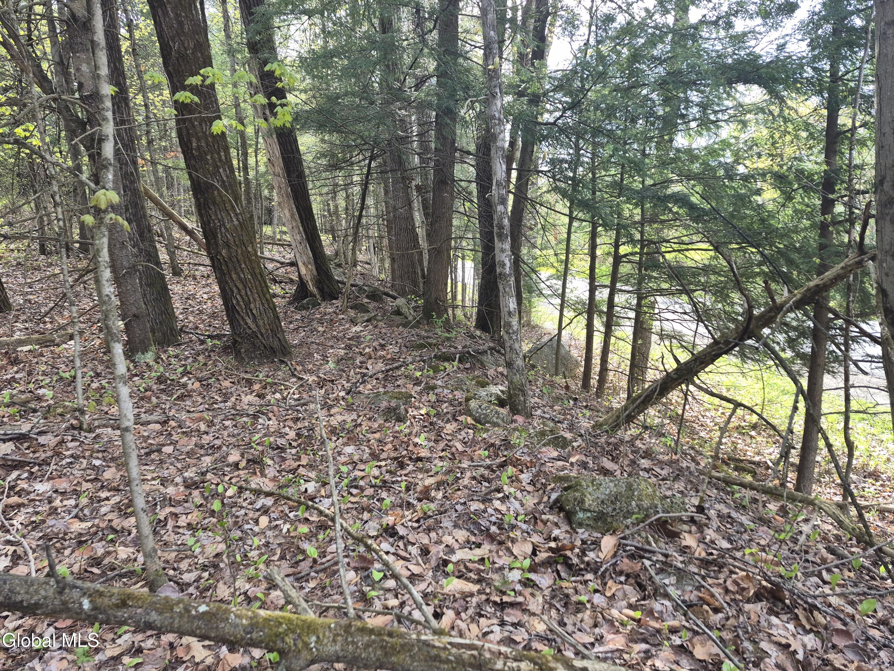 L-2.6 Goodman Road Fort Ann NY 12827