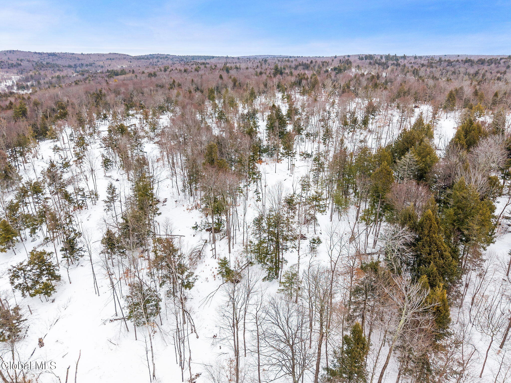 L25.1 Fifty Six Road Petersburgh NY 12138