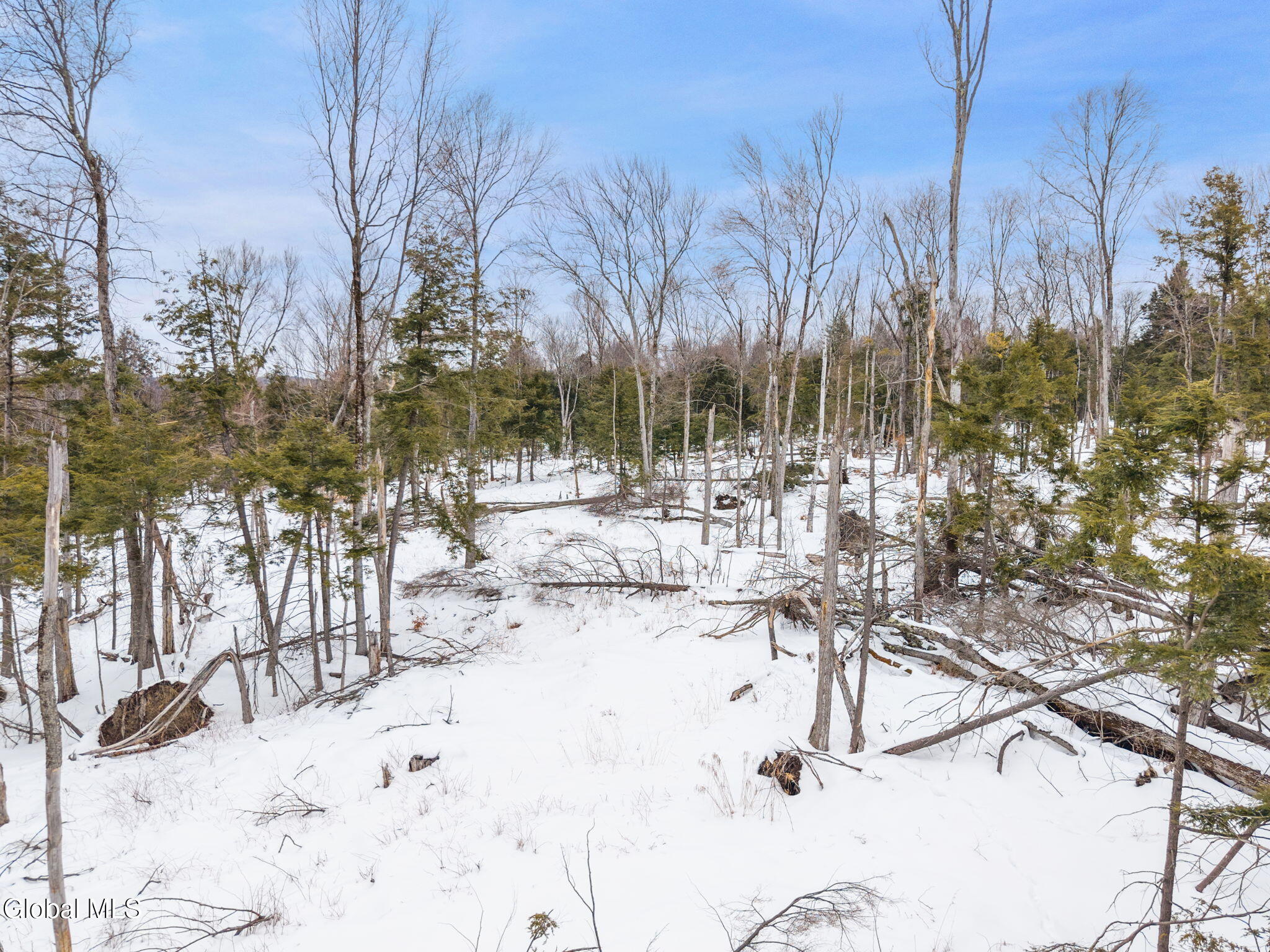 L25.1 Fifty Six Road Petersburgh NY 12138