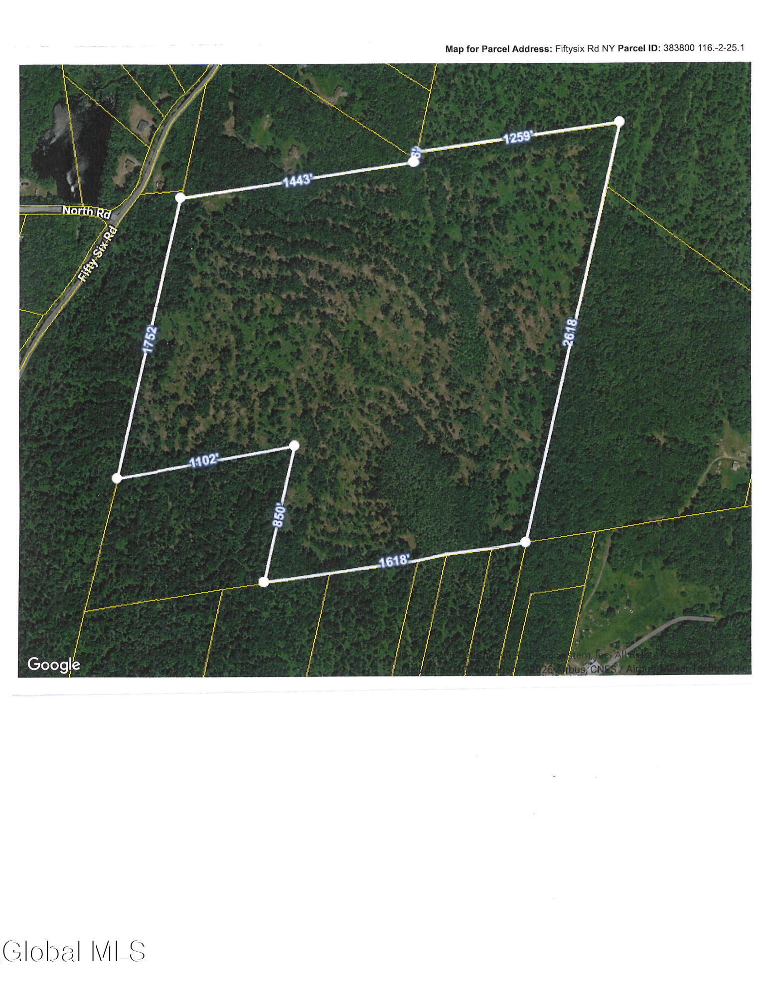 L25.1 Fifty Six Road Petersburgh NY 12138