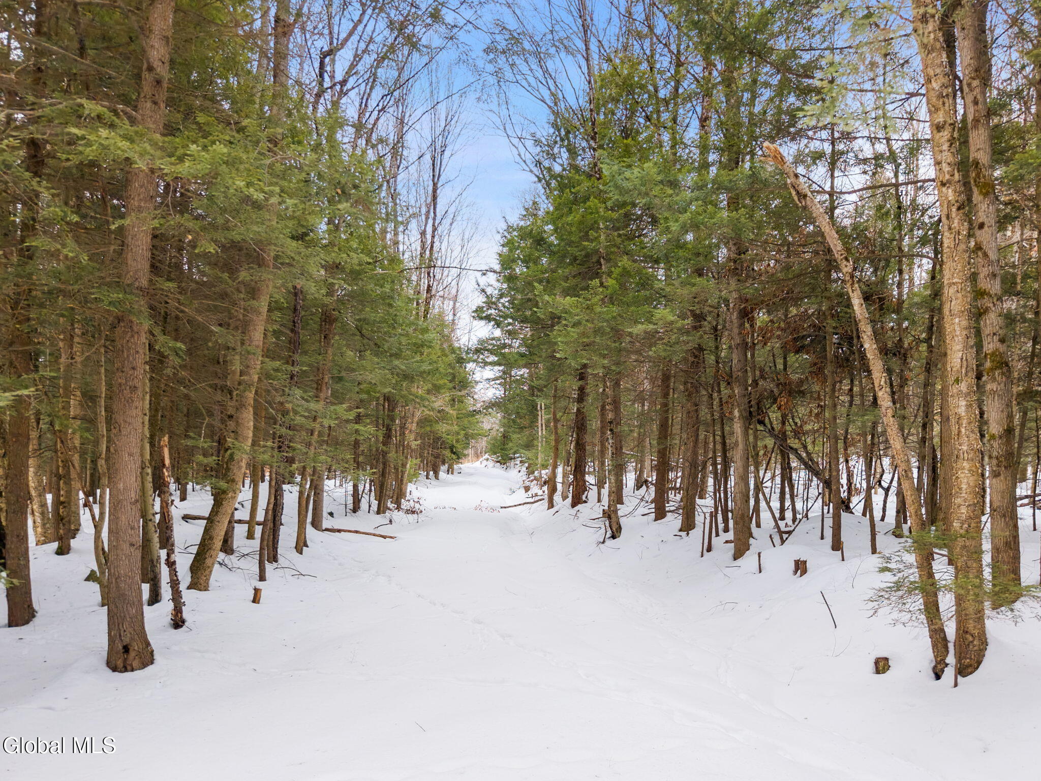 L25.1 Fifty Six Road Petersburgh NY 12138