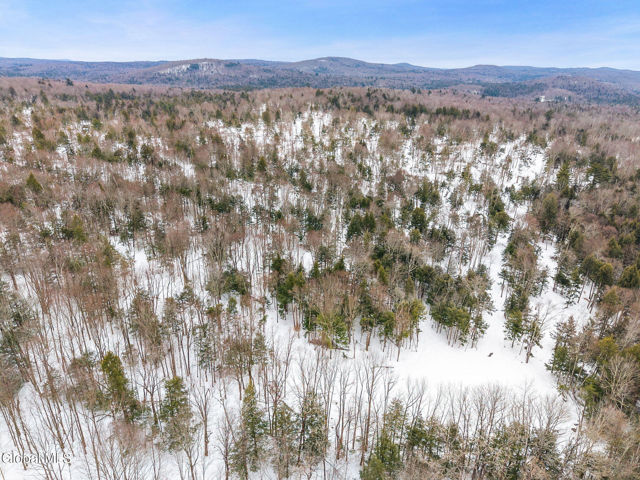 L25.1 Fifty Six Road Petersburgh NY 12138