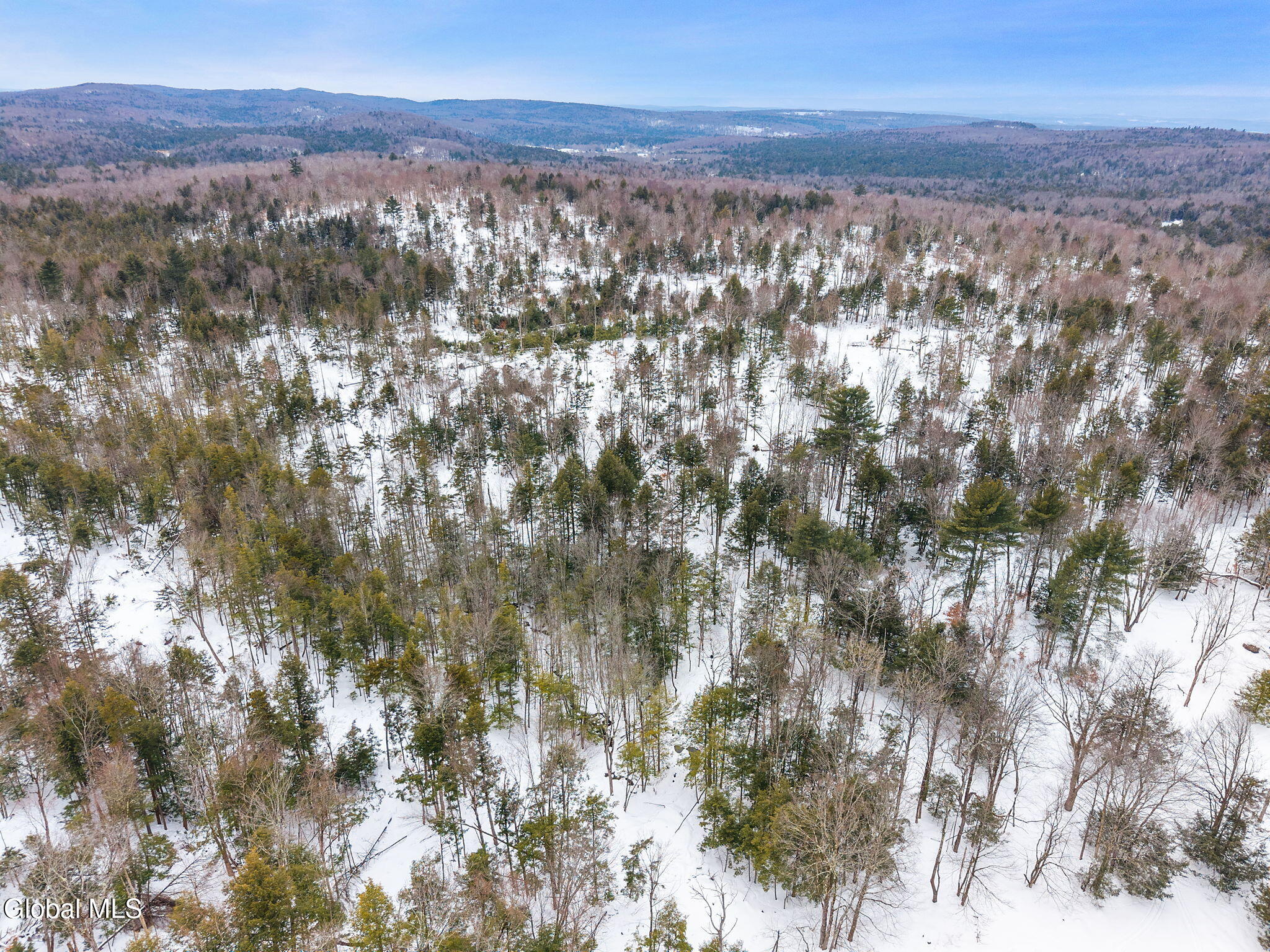 L25.1 Fifty Six Road Petersburgh NY 12138