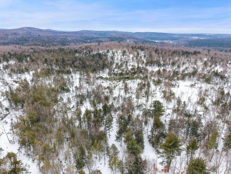 L25.1 Fifty Six Road Petersburgh NY 12138