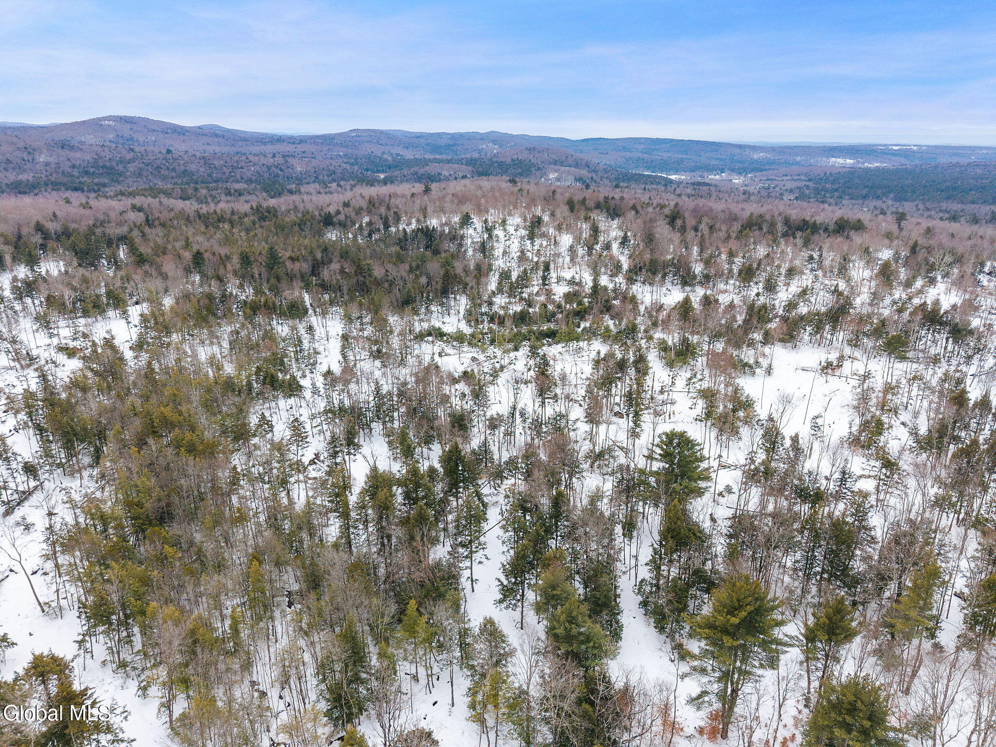 L25.1 Fifty Six Road Petersburgh NY 12138