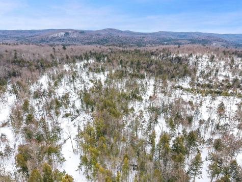 L25.1 Fifty Six Road Petersburgh NY 12138