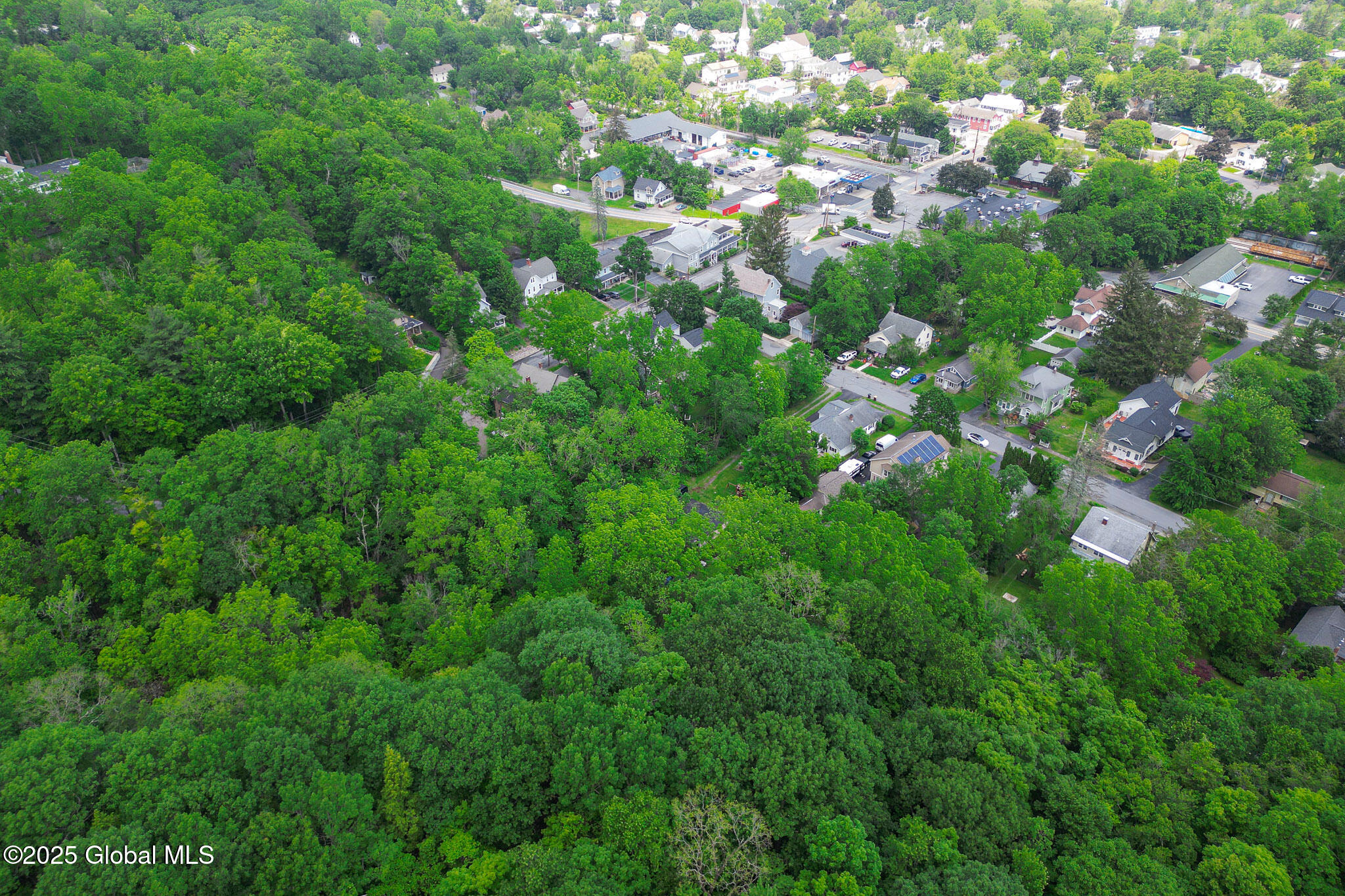 102 Severson Avenue Altamont NY 12009