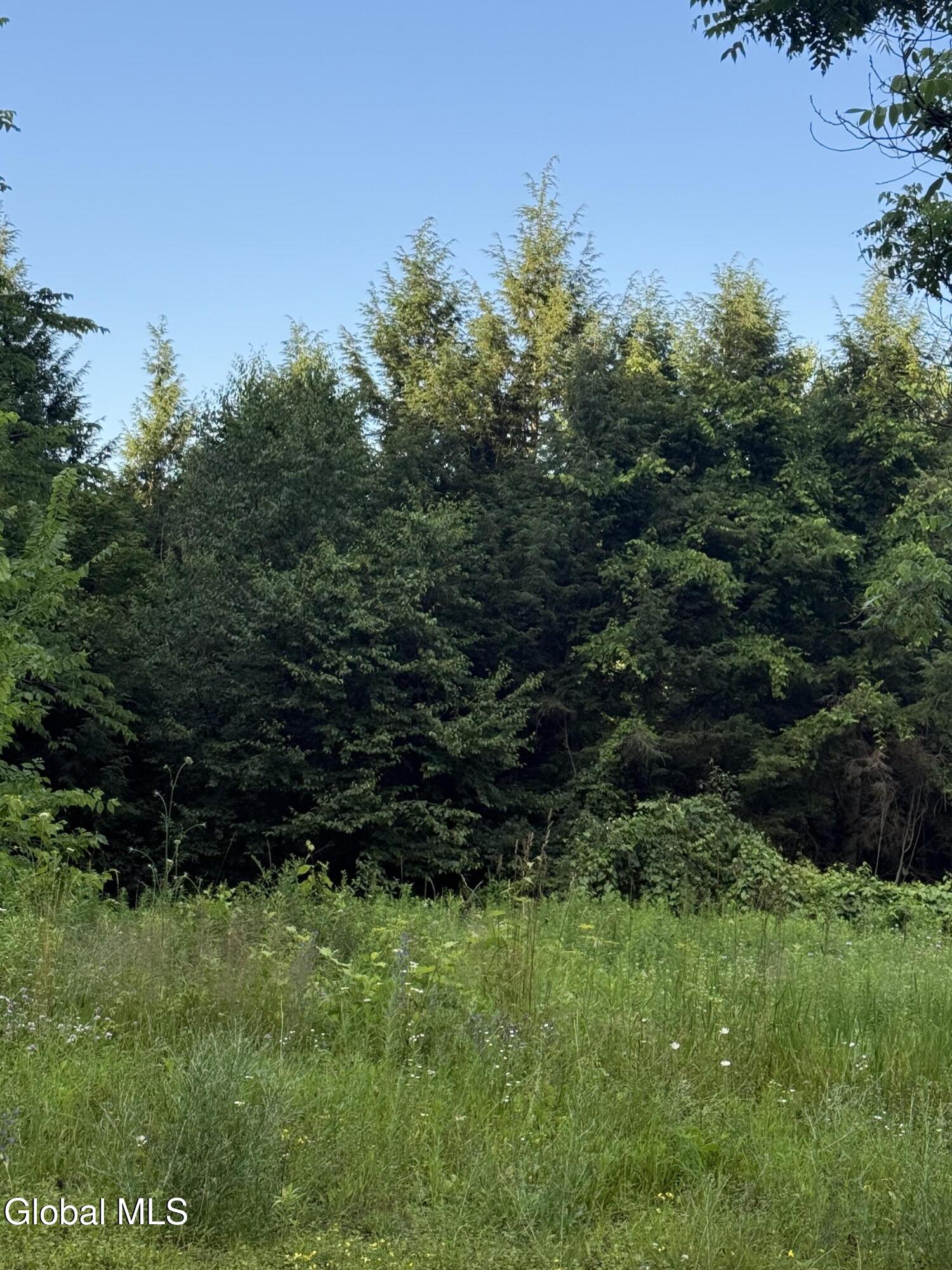 370 Carrera Lane Granville NY 12832