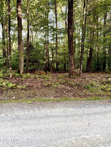 352 Dickinson Hill Road Bolton NY 12824
