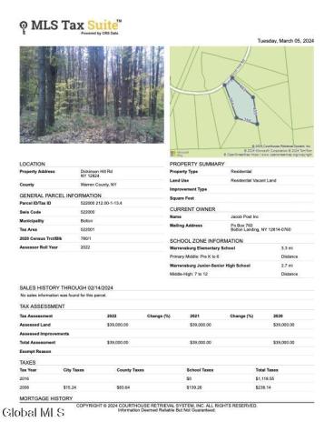 352 Dickinson Hill Road Bolton NY 12824