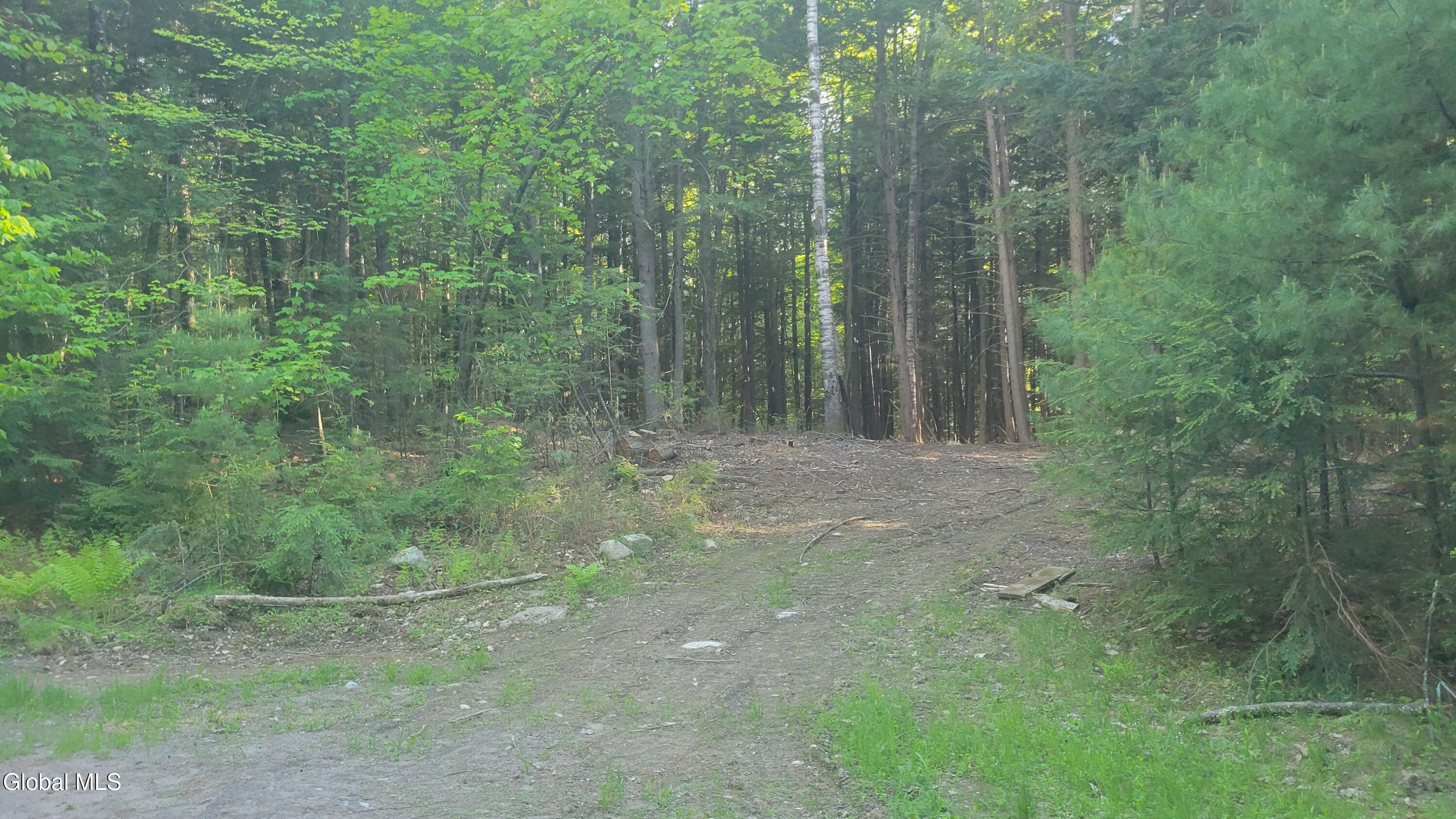 L1.34 Mcphillips Pine Lane Chestertown NY 12817
