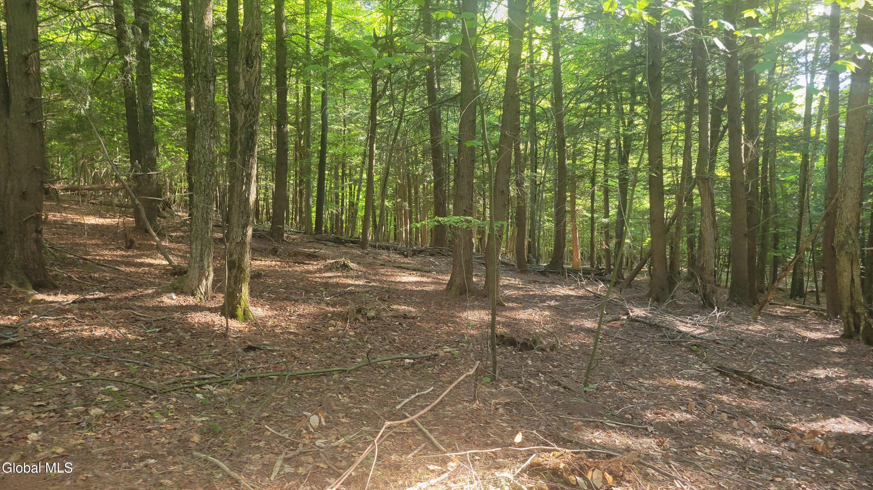 L1.34 Mcphillips Pine Lane Chestertown NY 12817