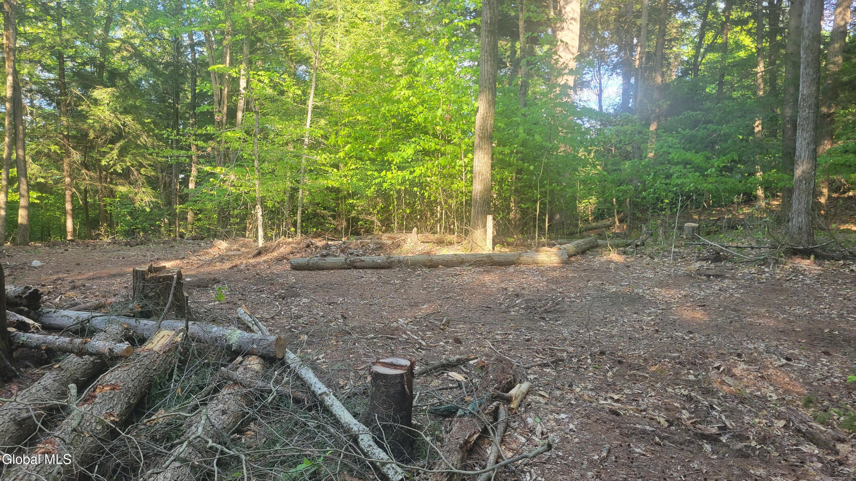 L1.34 Mcphillips Pine Lane Chestertown NY 12817