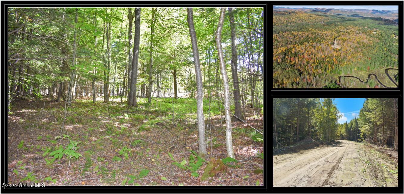 86 Carriage Knoll Road Chestertown NY 12817