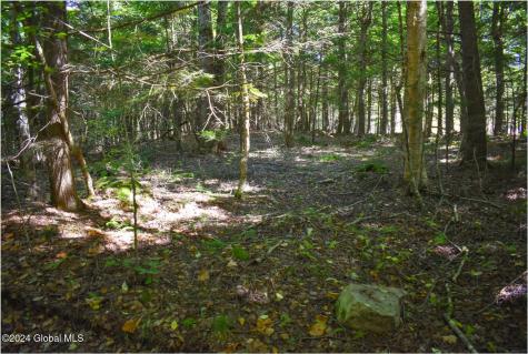 86 Carriage Knoll Road Chestertown NY 12817