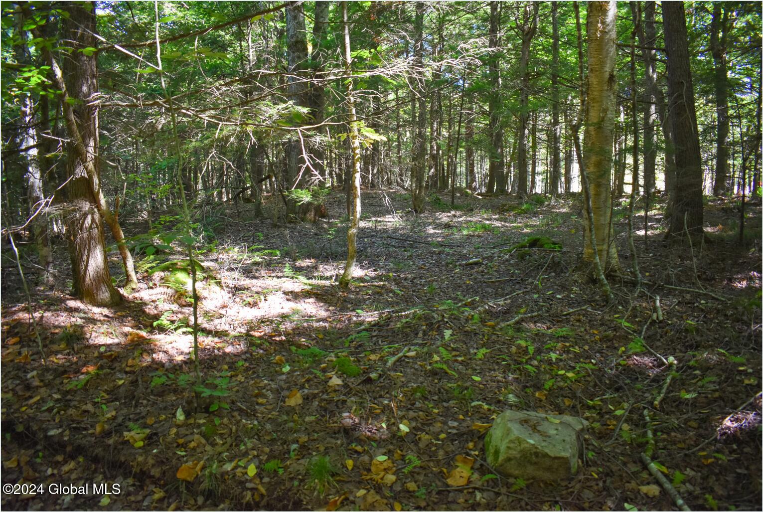 86 Carriage Knoll Road Chestertown NY 12817
