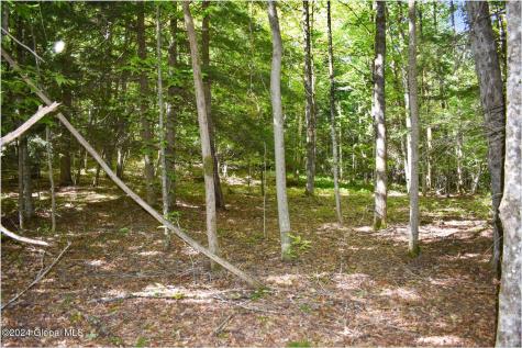86 Carriage Knoll Road Chestertown NY 12817
